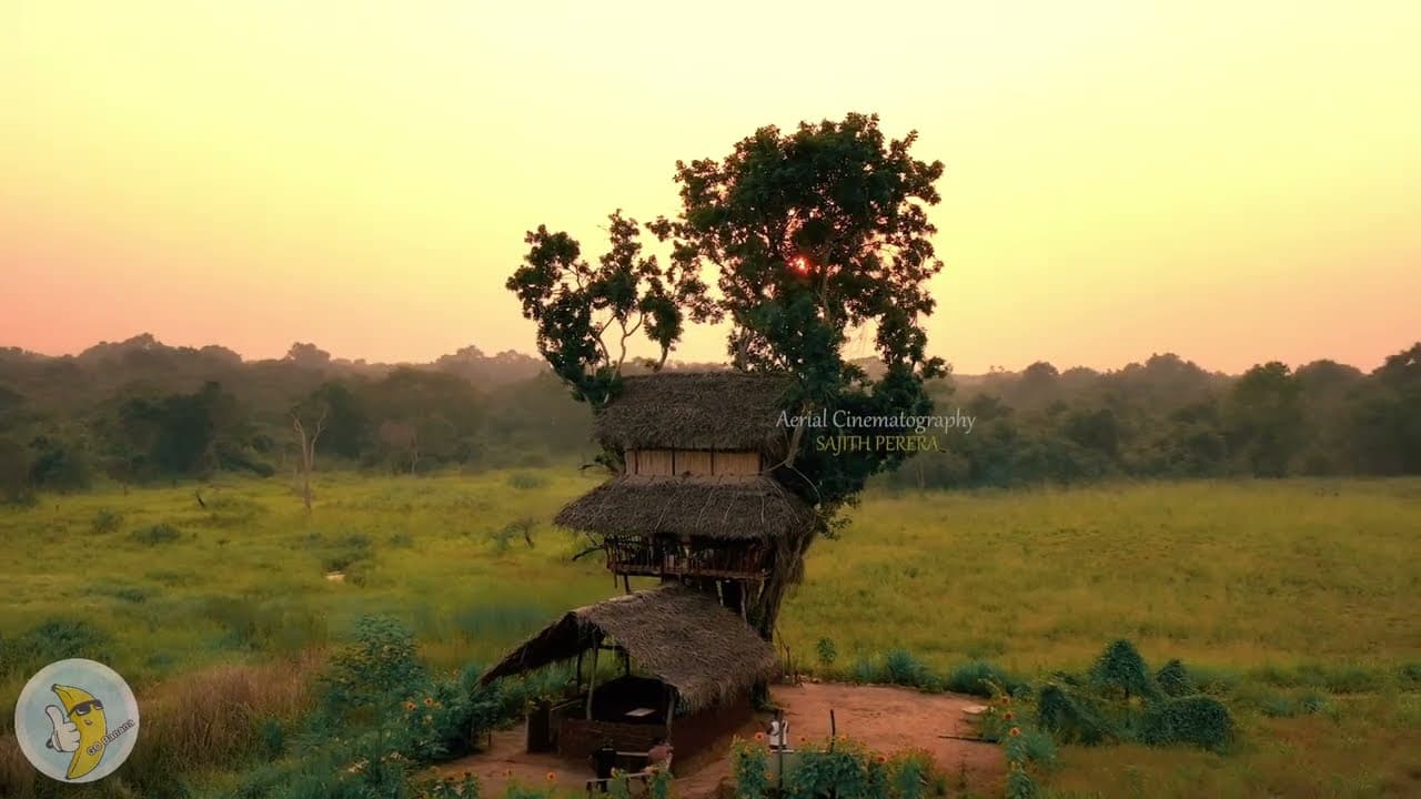 Video tour of Amazing Tree House